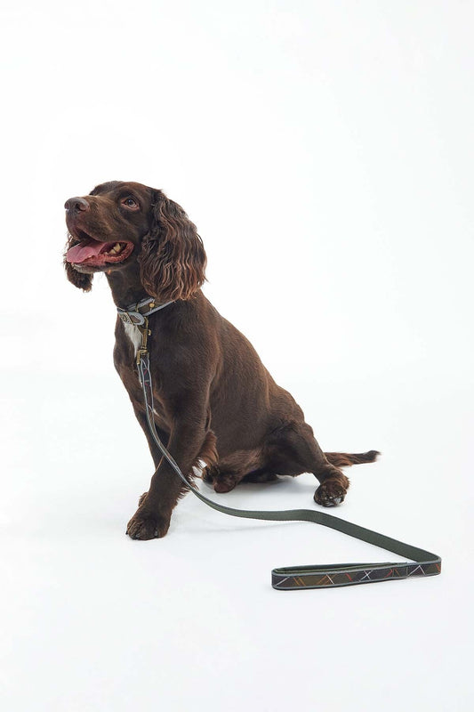 Reflective Tartan Comfort Lead - CLASSIC TARTAN